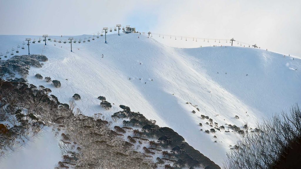 Hotham mountain skiing